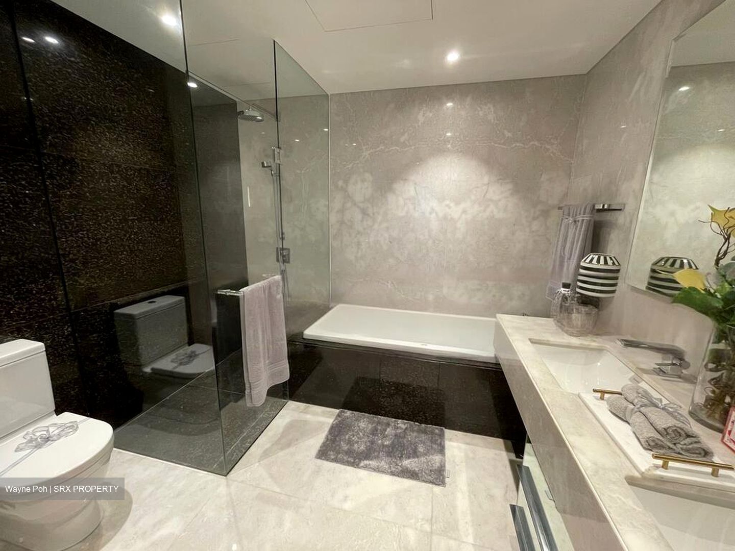 St. Regis Residences (D10), Apartment #507675431